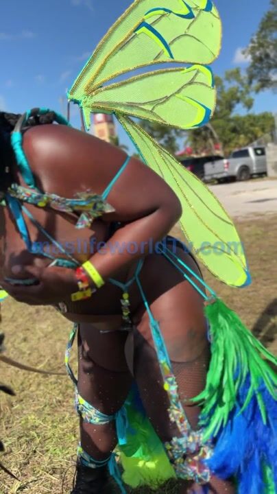 Miami Carnival 2026 #84 — Miami — 2026